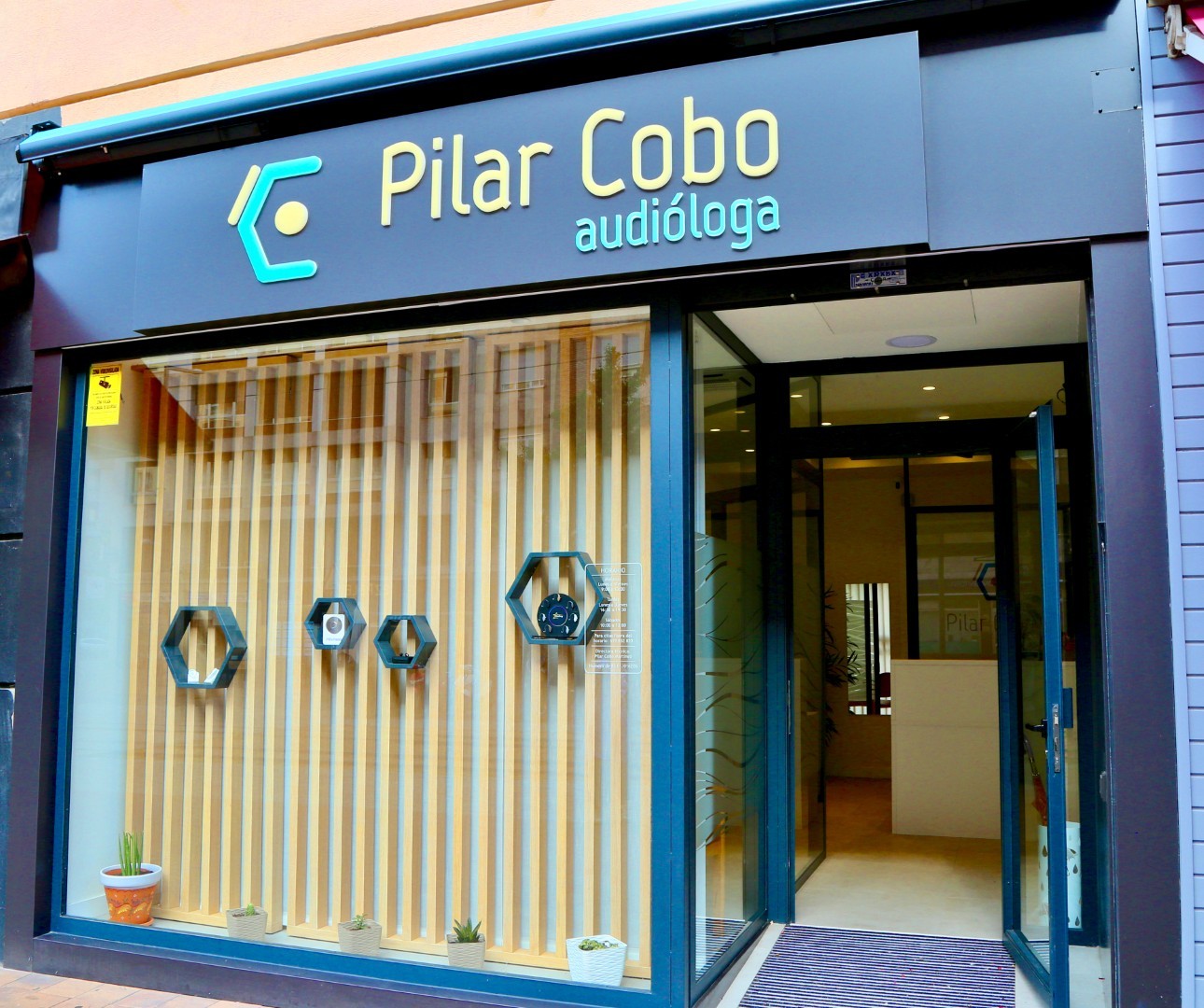 Pilar Cobo Audióloga